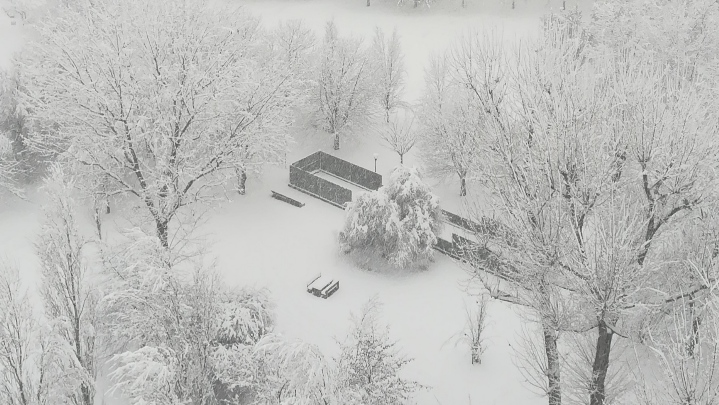 Par dana prije Nove godine, pao je snijeg u mom gradu