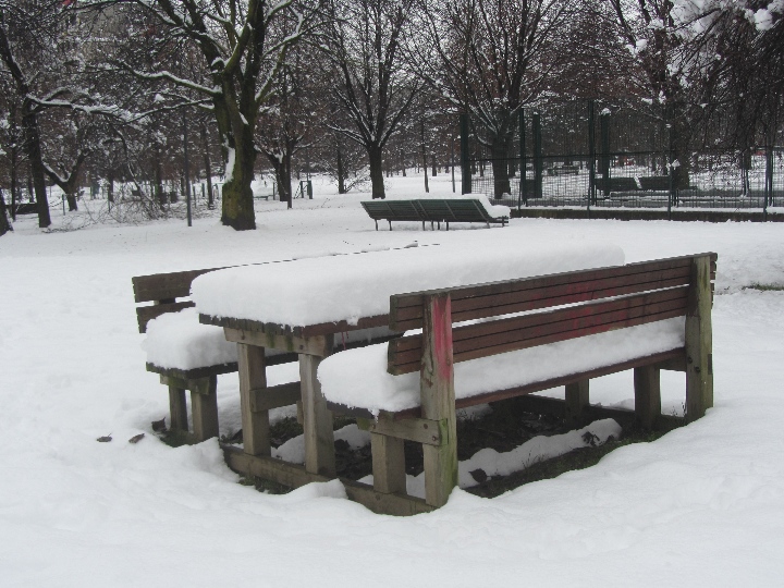 Qualche giorno prima del capodanno, la mia città si è svegliata sotto un velo bianco: sono caduti 20 cm di neve